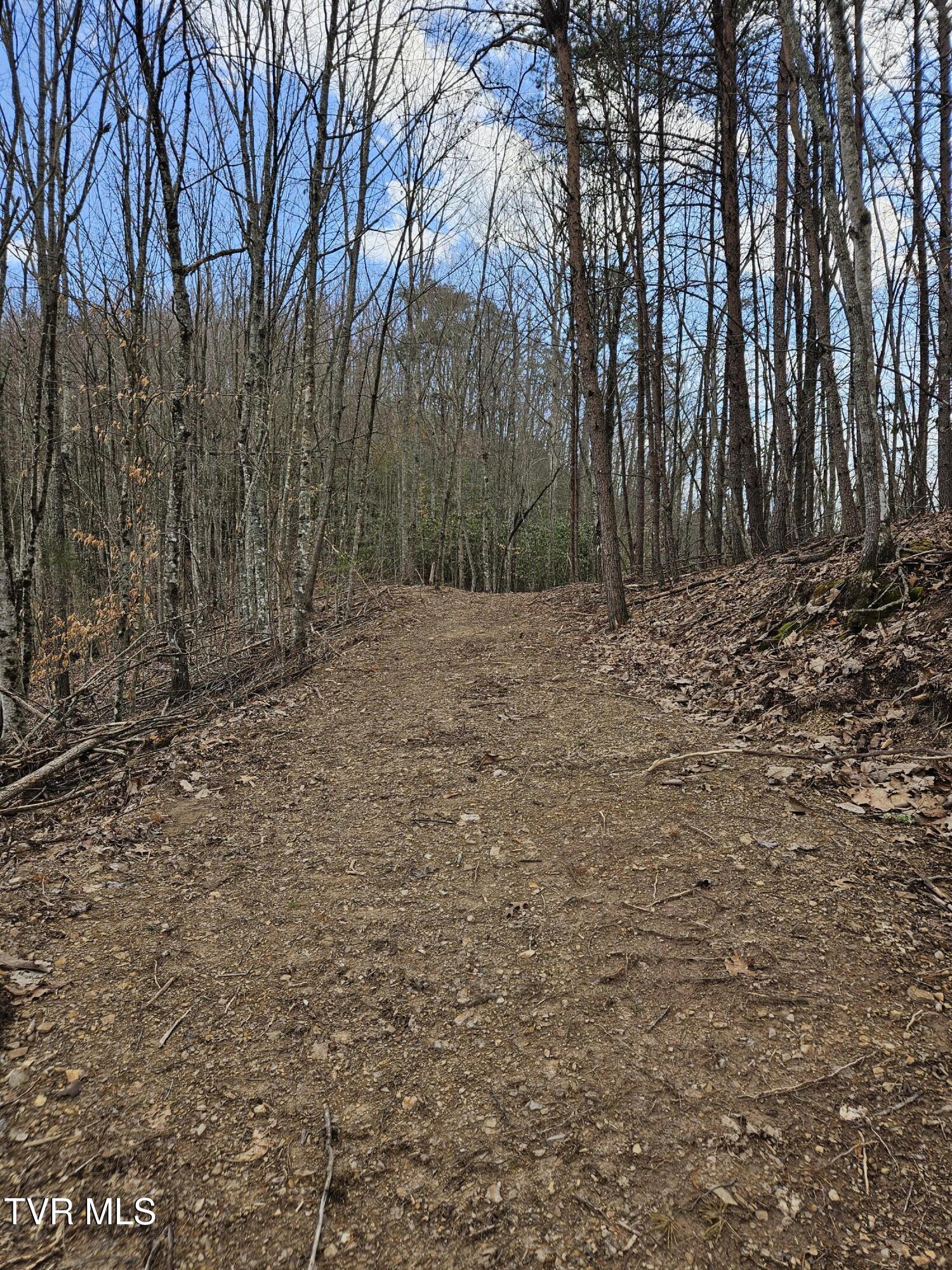 Tbd Right Poor Valley Road Pennington Gap, VA 24277 - Photo 12 of 26 20250325_172543