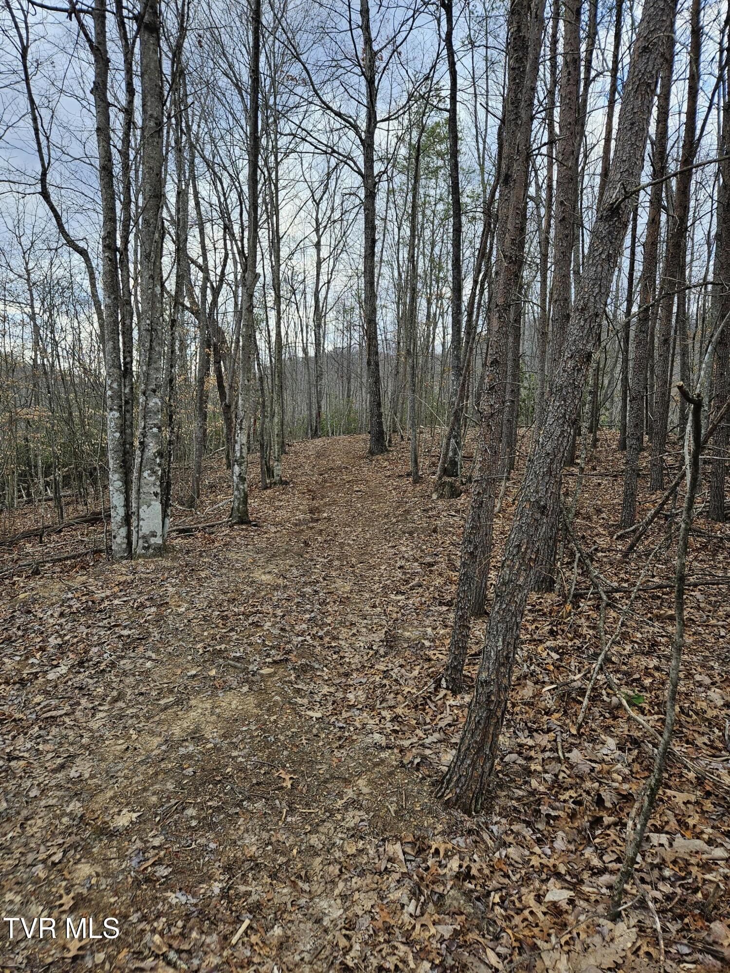 Tbd Right Poor Valley Road Pennington Gap, VA 24277 - Photo 13 of 26 20250325_172619