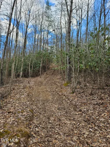 $147,000 | Tbd Right Poor Valley Road, Pennington Gap, VA 24277