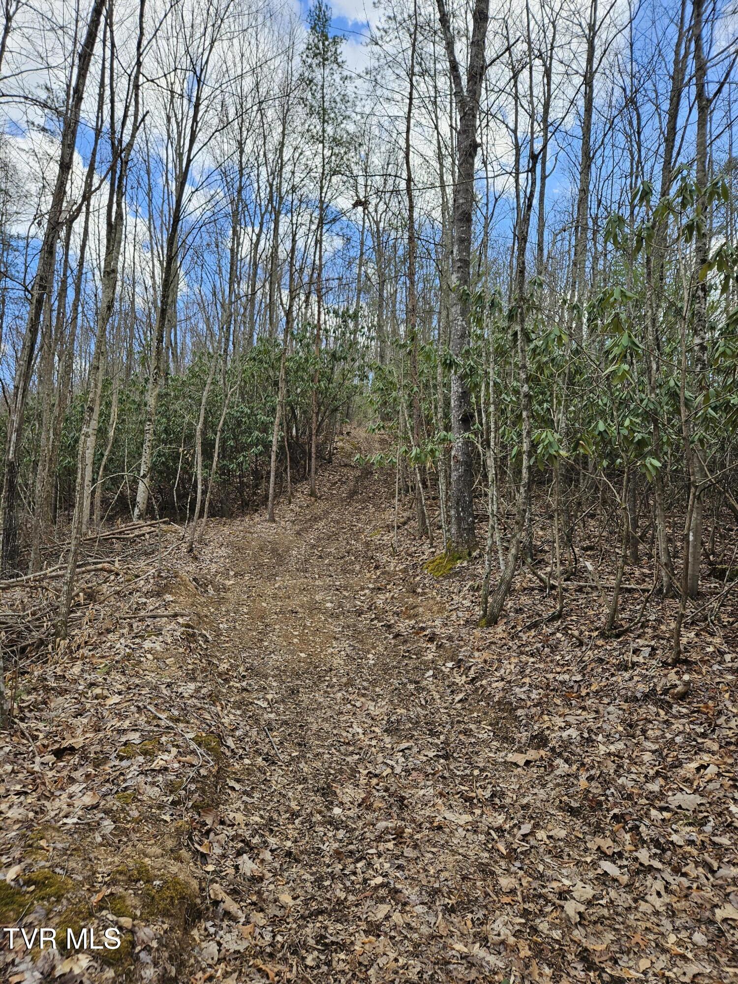Tbd Right Poor Valley Road Pennington Gap, VA 24277 - Photo 14 of 26 20250325_172805