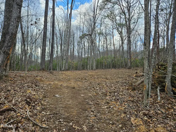 $135,000 | Tbd Right Poor Valley Road, Pennington Gap, VA 24277