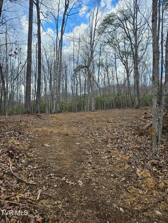 $135,000 | Tbd Right Poor Valley Road, Pennington Gap, VA 24277
