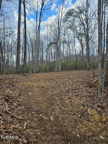 $147,000 | Tbd Right Poor Valley Road, Pennington Gap, VA 24277