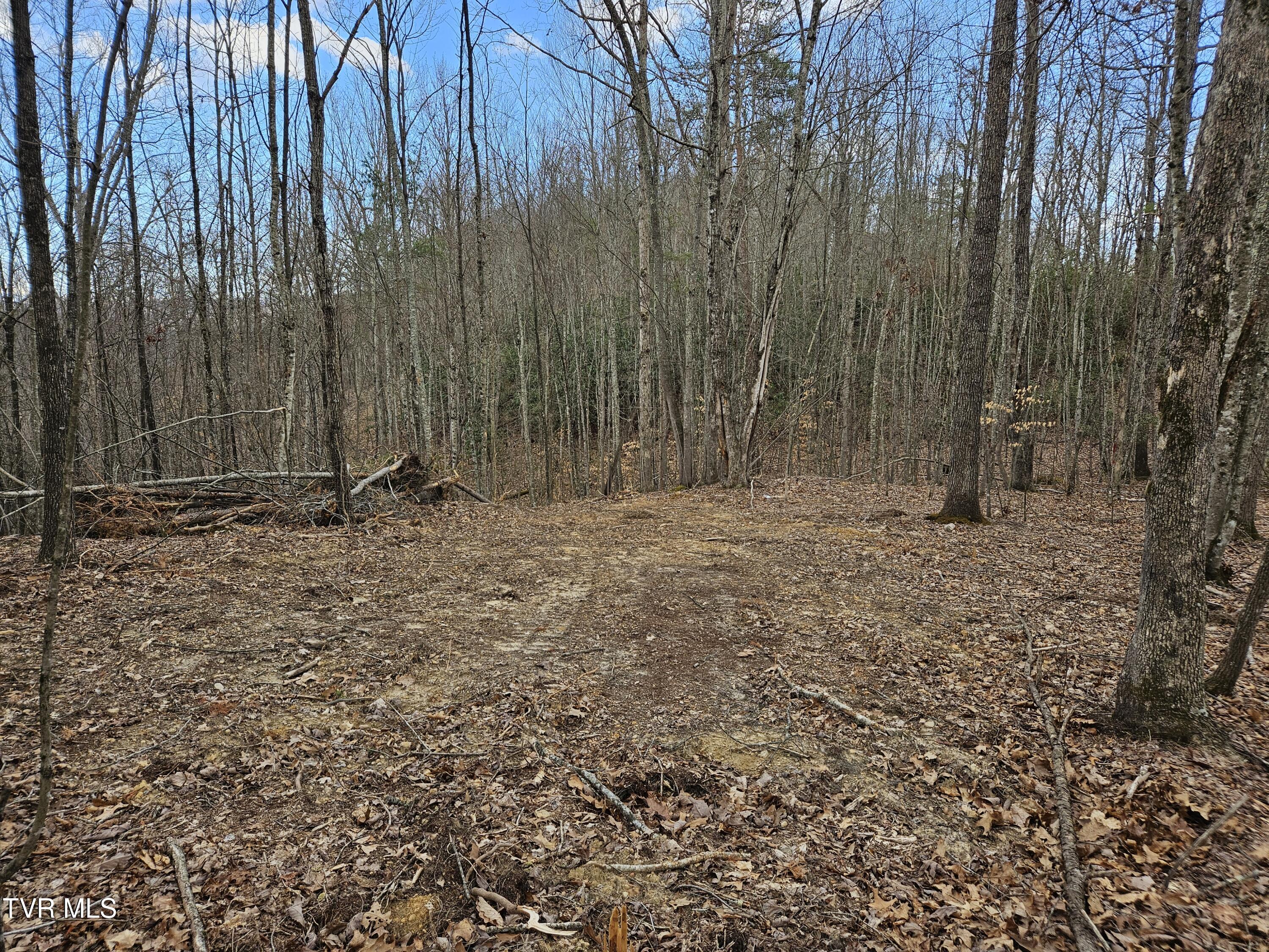 Tbd Right Poor Valley Road Pennington Gap, VA 24277 - Photo 17 of 26 20250325_173203