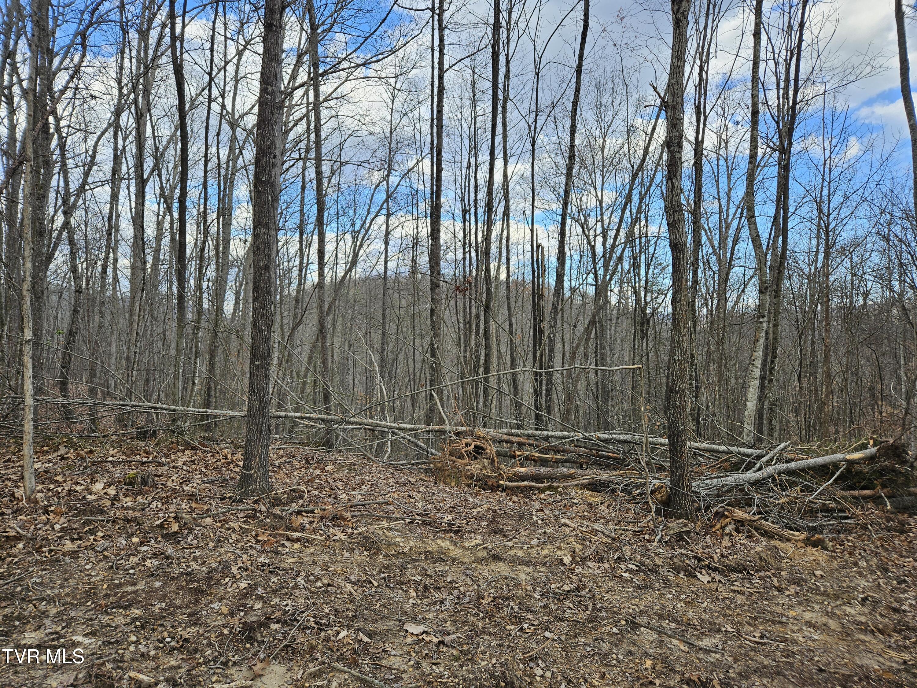Tbd Right Poor Valley Road Pennington Gap, VA 24277 - Photo 18 of 26 20250325_173215