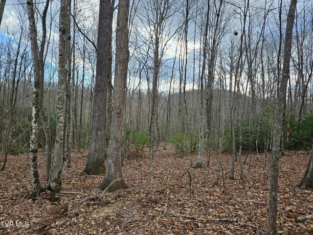 $147,000 | Tbd Right Poor Valley Road, Pennington Gap, VA 24277