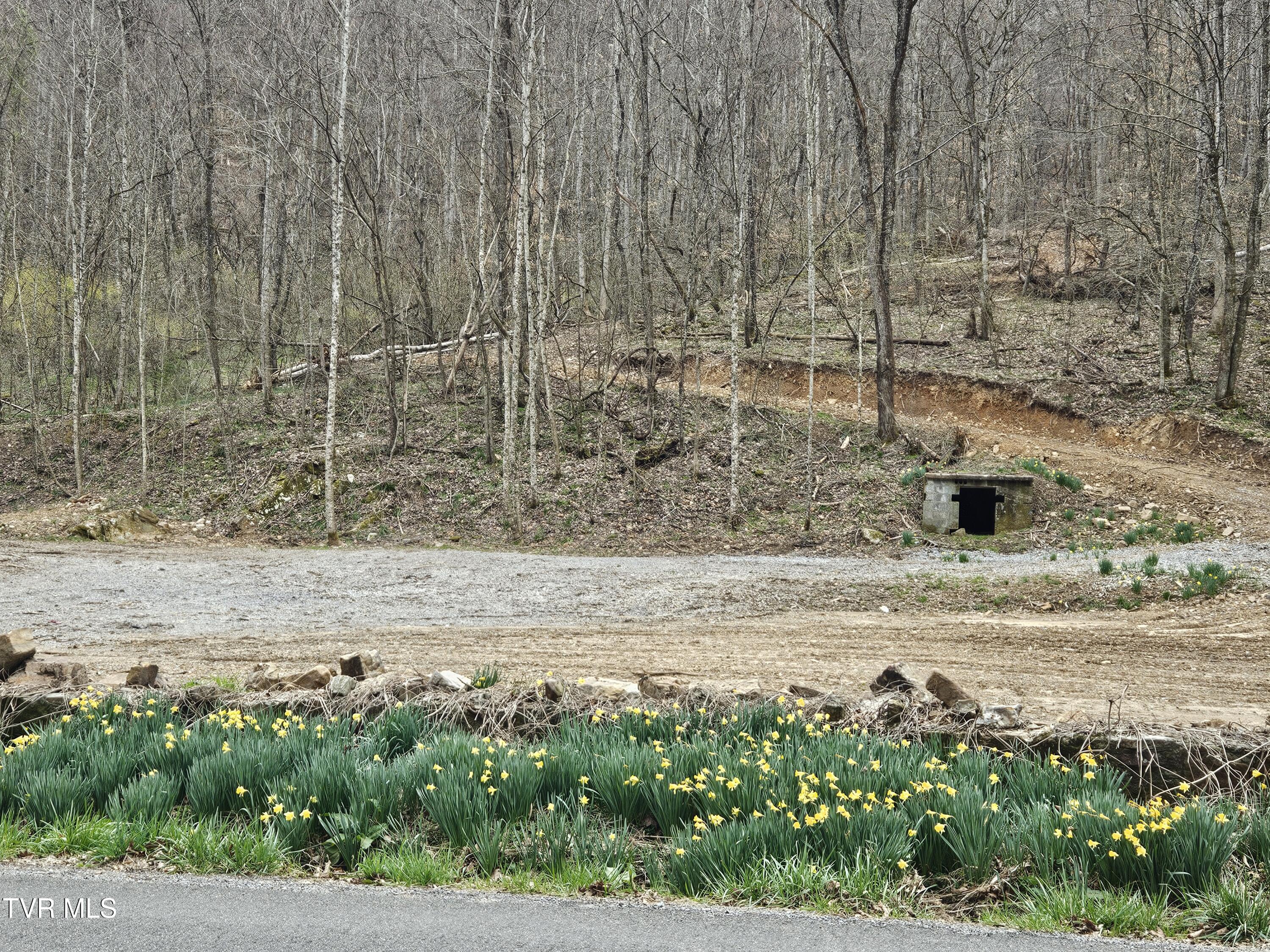 Tbd Right Poor Valley Road Pennington Gap, VA 24277 - Photo 21 of 26 20250325_174120