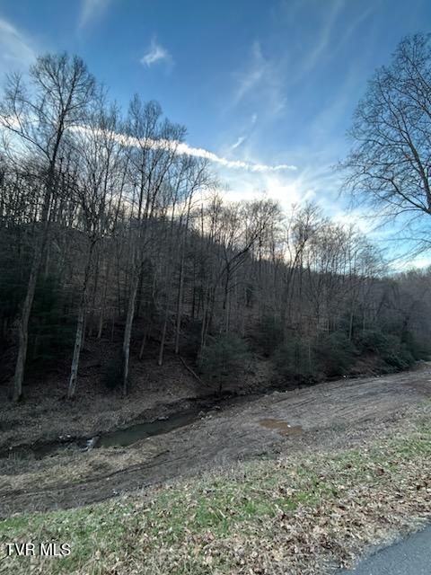 Tbd Right Poor Valley Road Pennington Gap, VA 24277 - Photo 22 of 26 IMG_20250326_180137