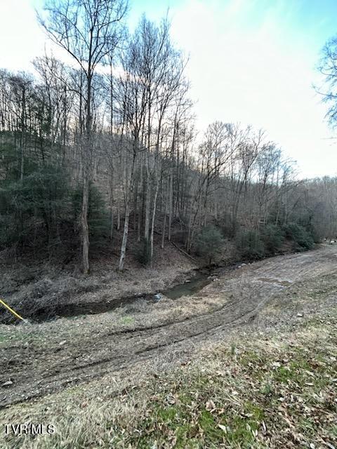 Tbd Right Poor Valley Road Pennington Gap, VA 24277 - Photo 23 of 26 IMG_20250326_180143