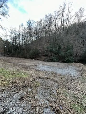 $147,000 | Tbd Right Poor Valley Road, Pennington Gap, VA 24277