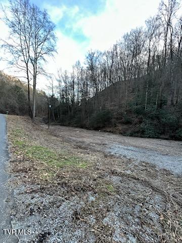 Tbd Right Poor Valley Road Pennington Gap, VA 24277 - Photo 26 of 26 IMG_20250326_180213