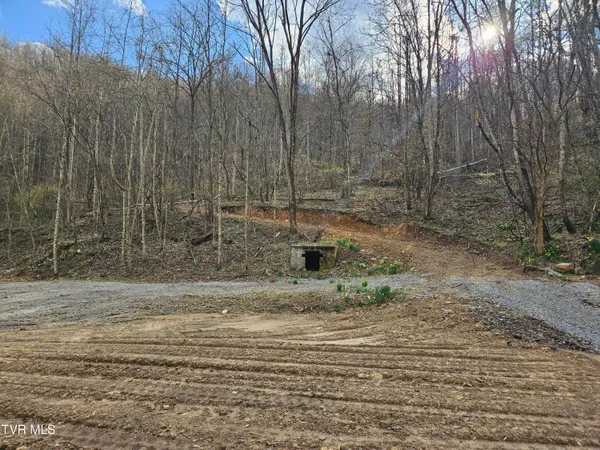 $135,000 | Tbd Right Poor Valley Road, Pennington Gap, VA 24277