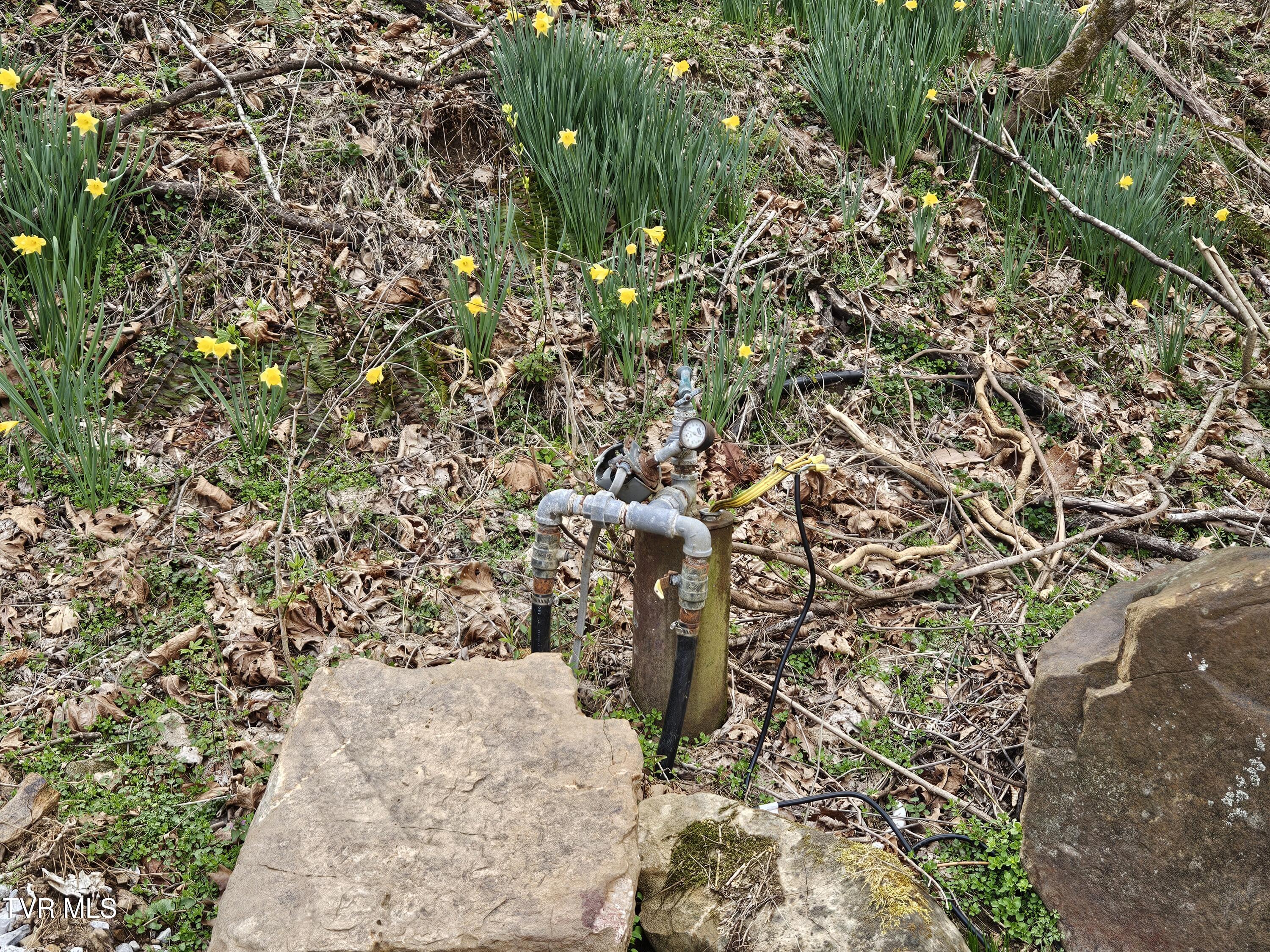 Tbd Right Poor Valley Road Pennington Gap, VA 24277 - Photo 4 of 26 20250325_171604