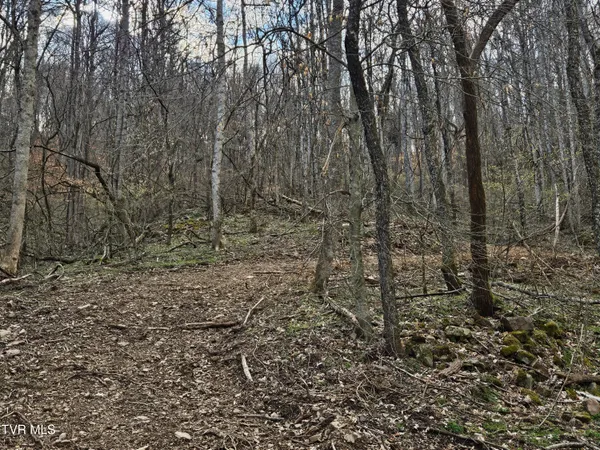 $135,000 | Tbd Right Poor Valley Road, Pennington Gap, VA 24277