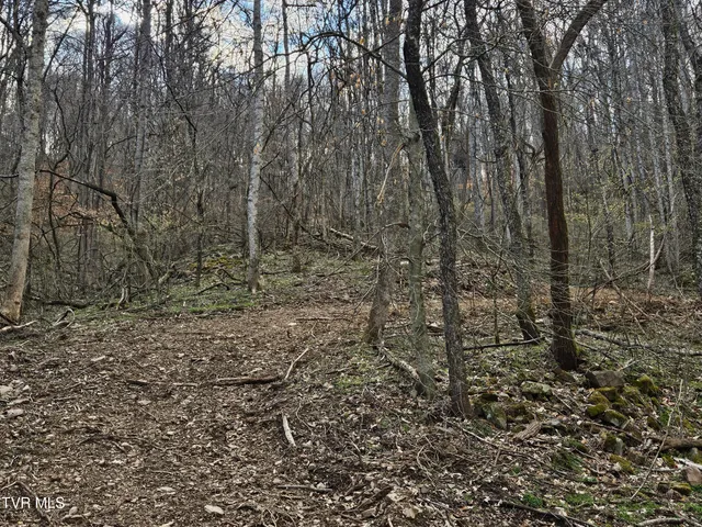 $147,000 | Tbd Right Poor Valley Road, Pennington Gap, VA 24277