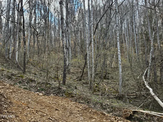 $147,000 | Tbd Right Poor Valley Road, Pennington Gap, VA 24277