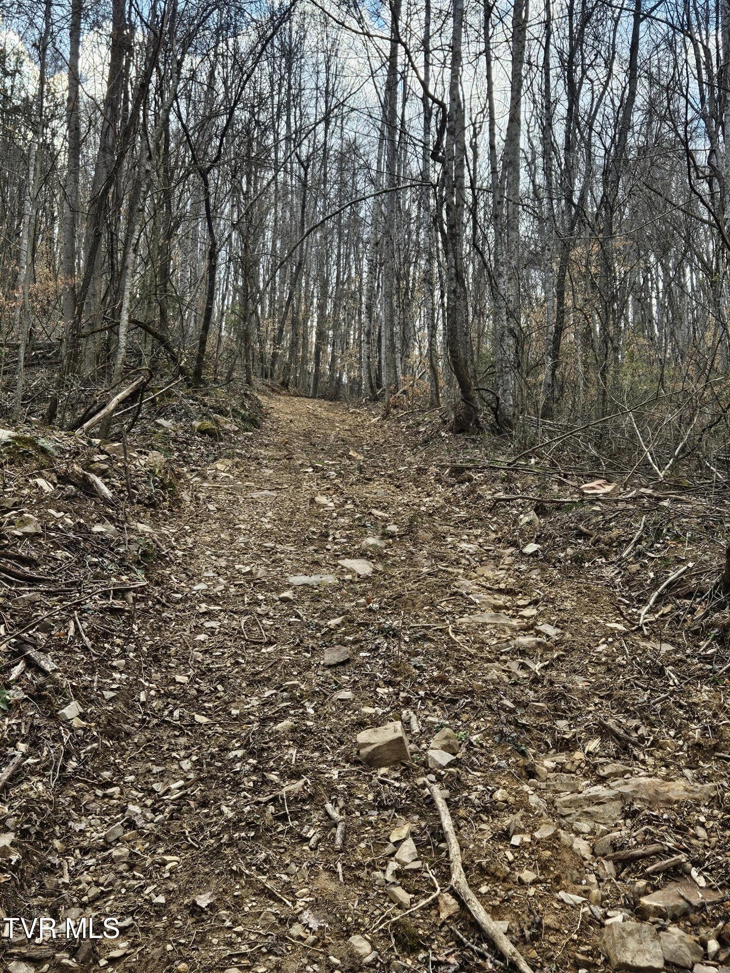 Tbd Right Poor Valley Road Pennington Gap, VA 24277 - Photo 7 of 26 20250325_171824