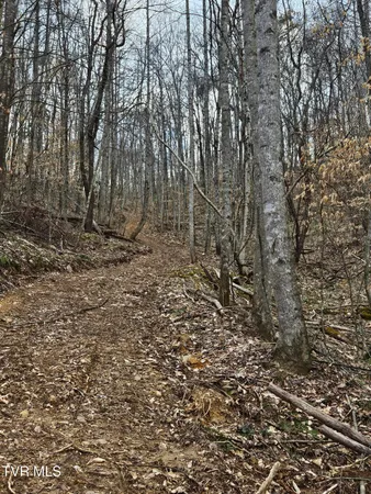 $135,000 | Tbd Right Poor Valley Road, Pennington Gap, VA 24277