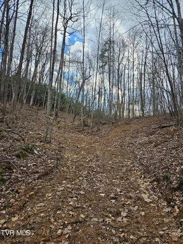 $147,000 | Tbd Right Poor Valley Road, Pennington Gap, VA 24277