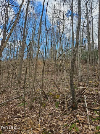 $135,000 | Tbd Right Poor Valley Road, Pennington Gap, VA 24277