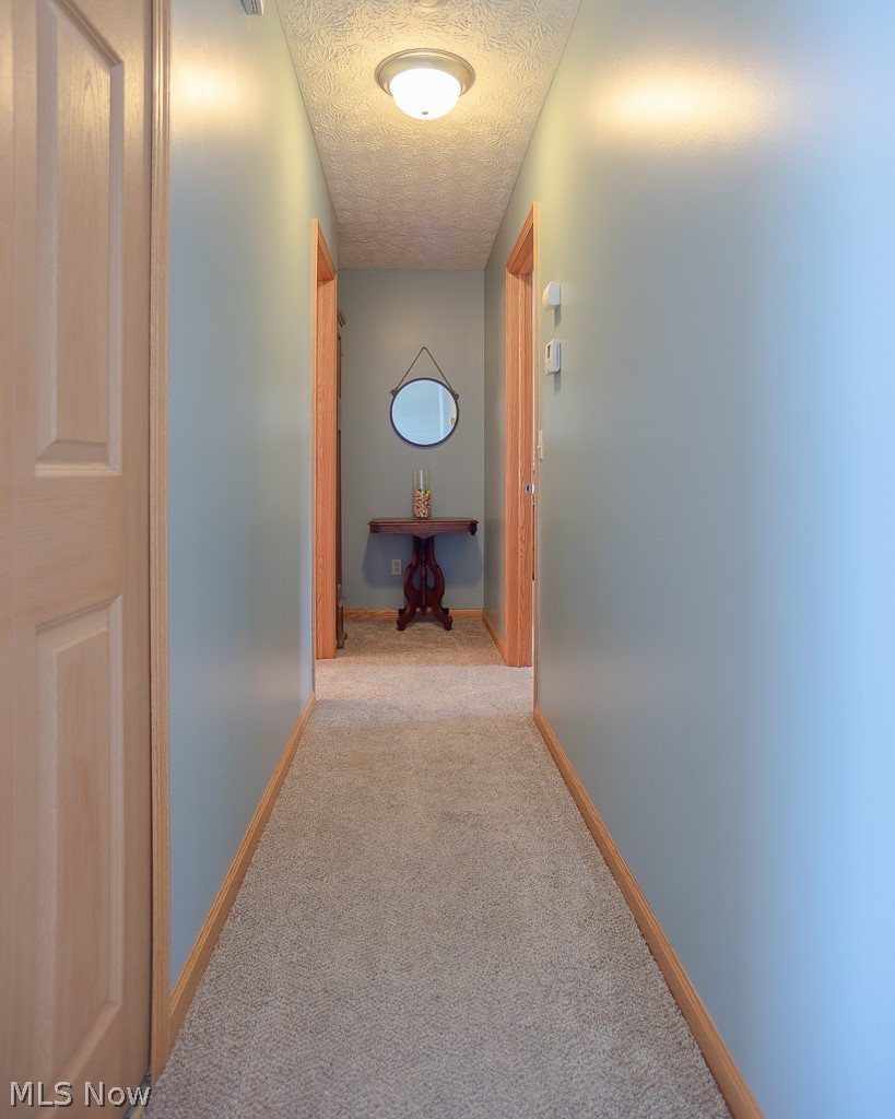 37612 Sandy Ridge Drive North Ridgeville, OH 44039 - Photo 9 of 20