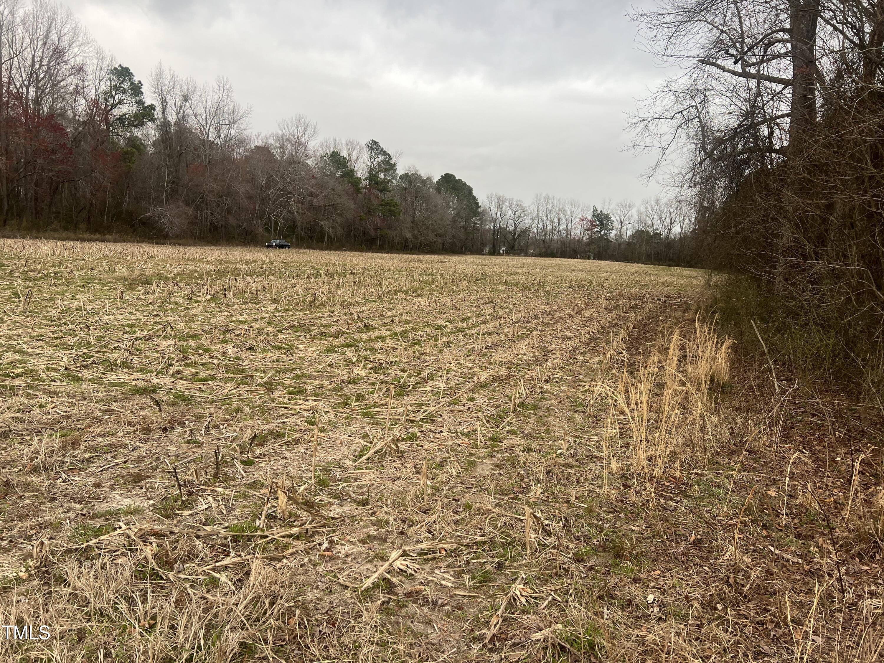 733 Federal Road Benson, NC 27504 - Photo 2 of 10 Federal Road pic 2