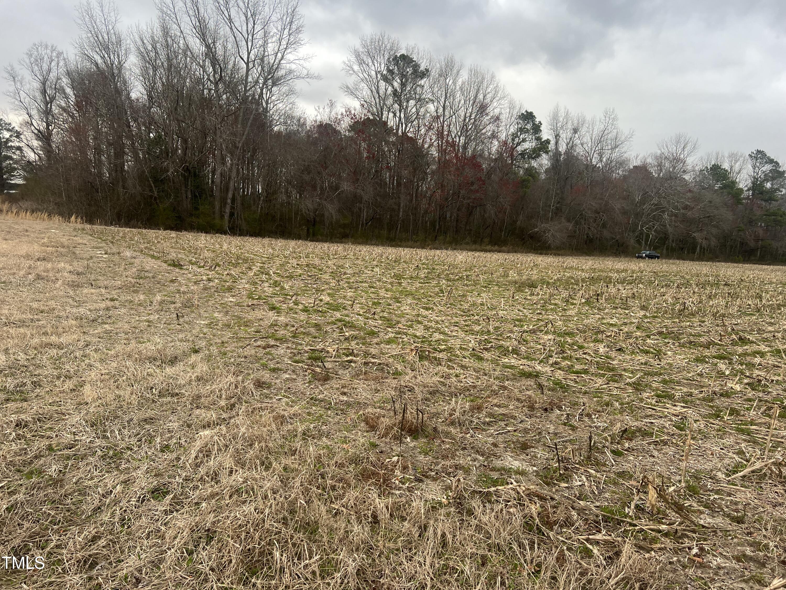 733 Federal Road Benson, NC 27504 - Photo 3 of 10 Federal Road pic 3