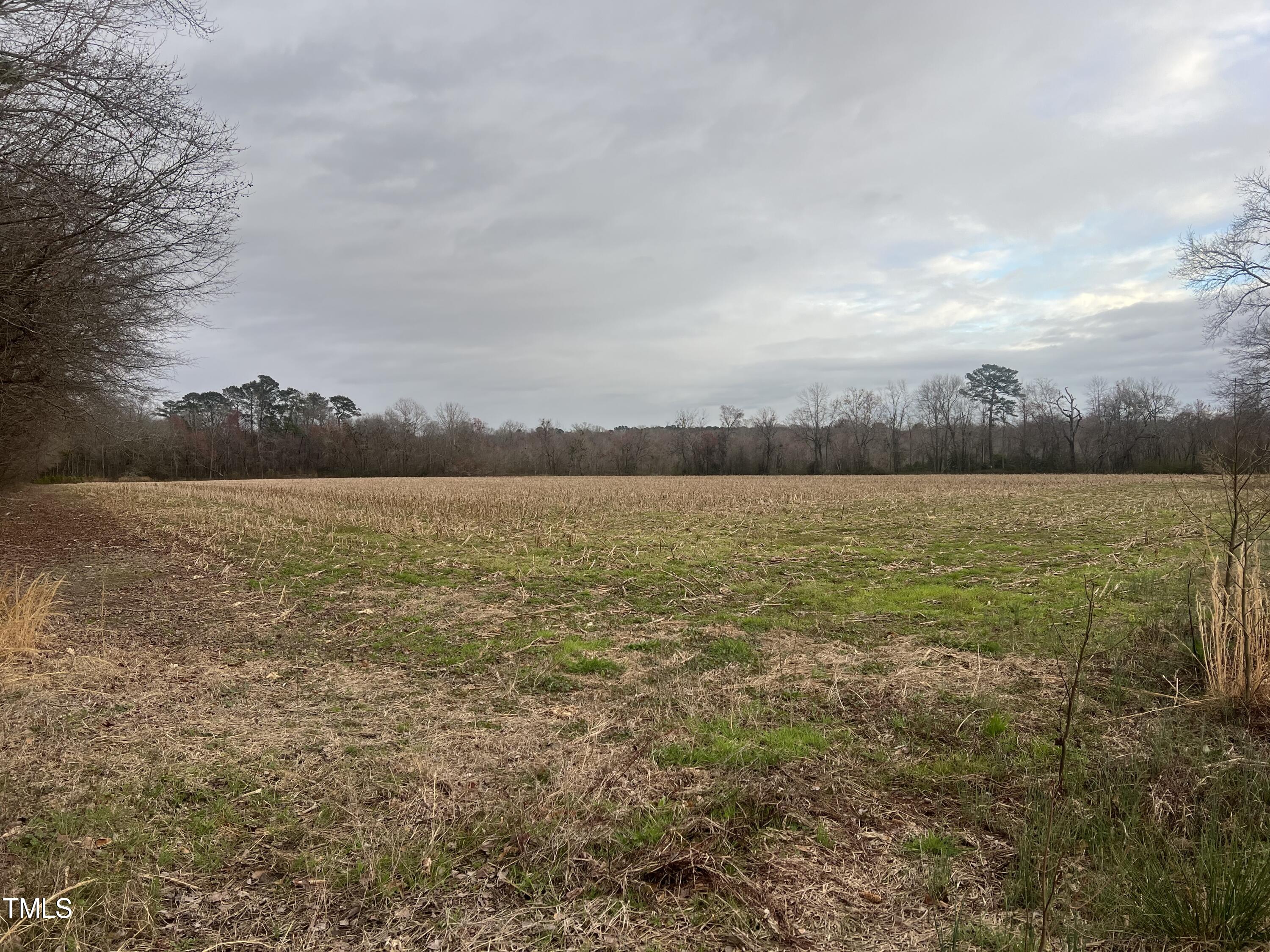 733 Federal Road Benson, NC 27504 - Photo 4 of 10 Federal Road Pic 5