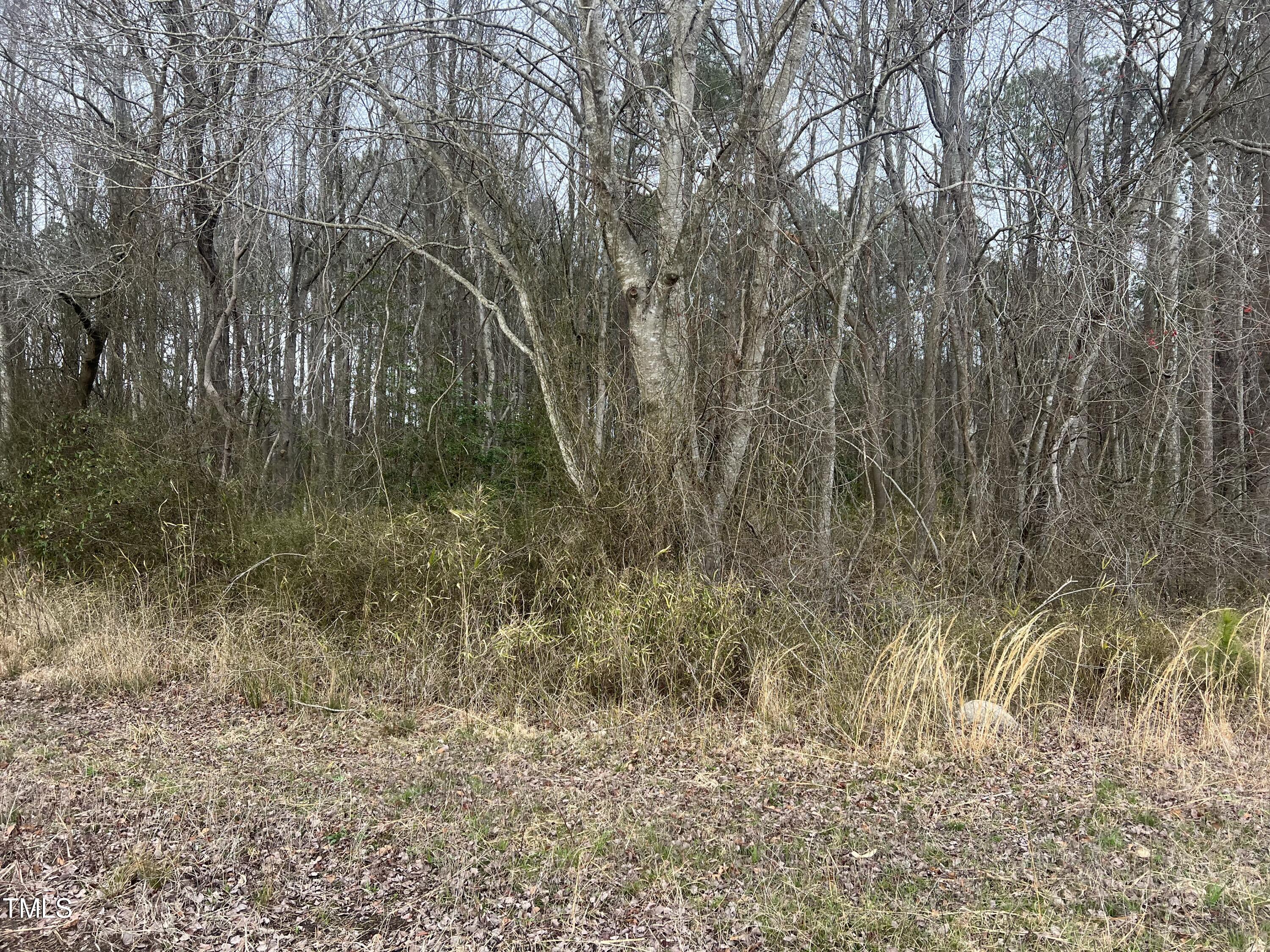 733 Federal Road Benson, NC 27504 - Photo 5 of 10 Federal road pic4