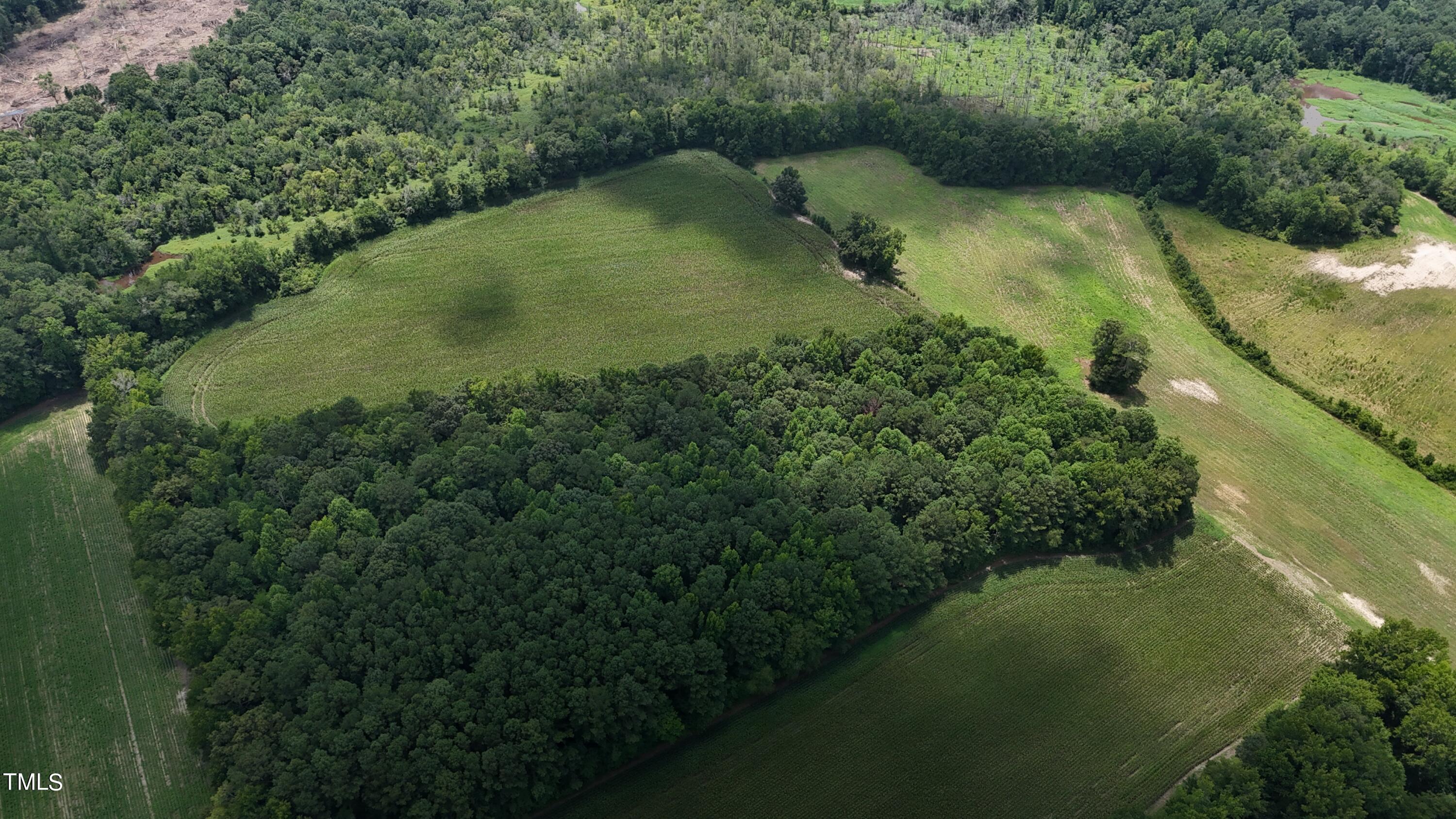 733 Federal Road Benson, NC 27504 - Photo 6 of 10 federal road 6
