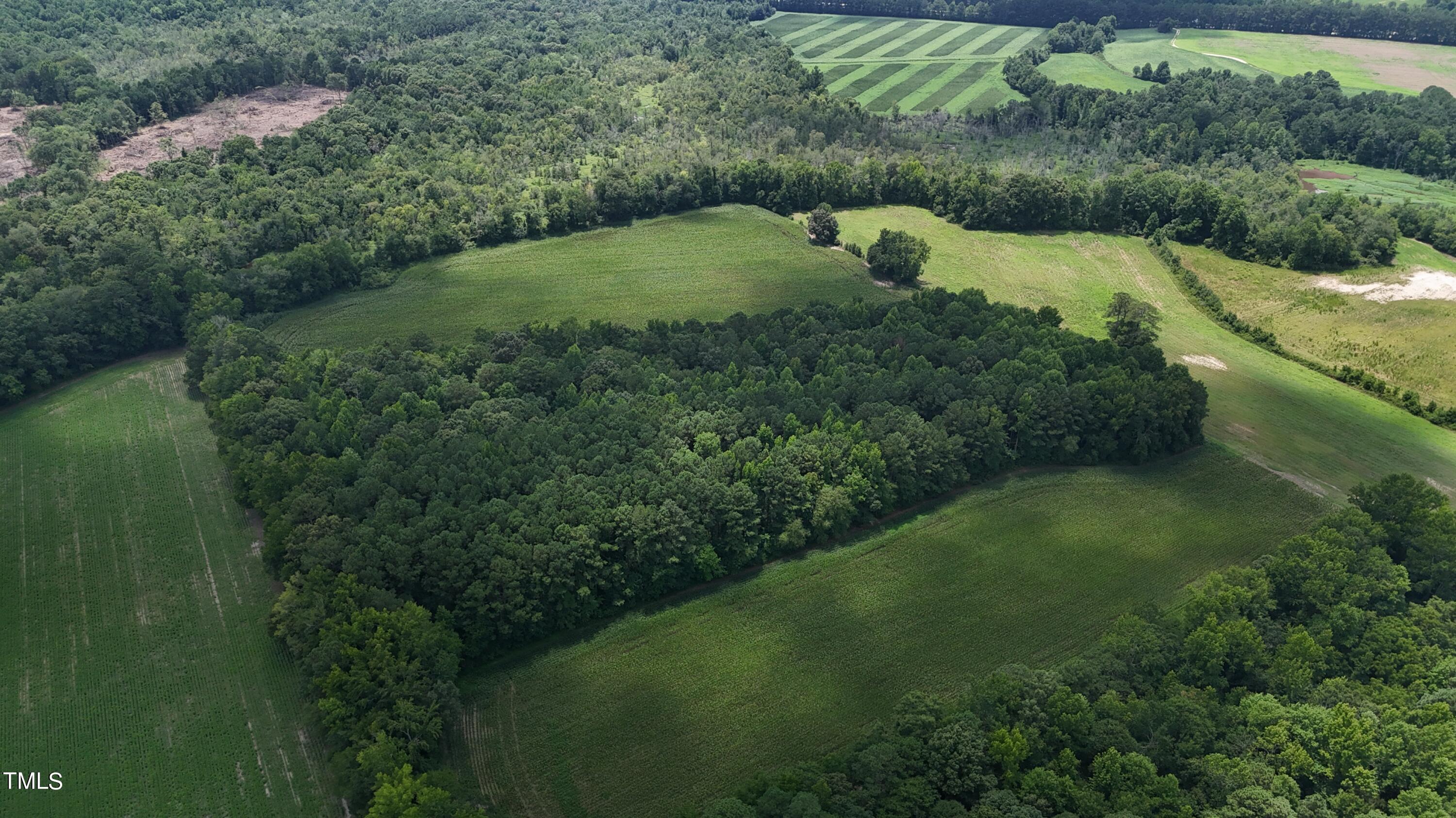 733 Federal Road Benson, NC 27504 - Photo 7 of 10 federal road 7