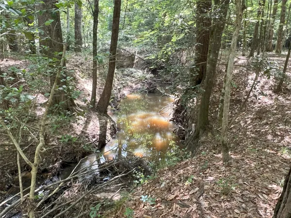 a view of outdoor space and trees