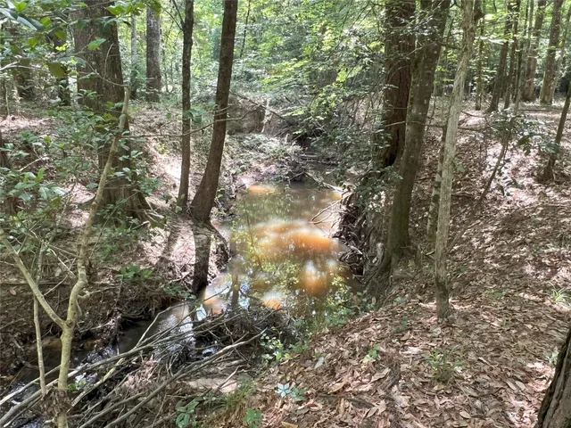 a view of outdoor space and trees