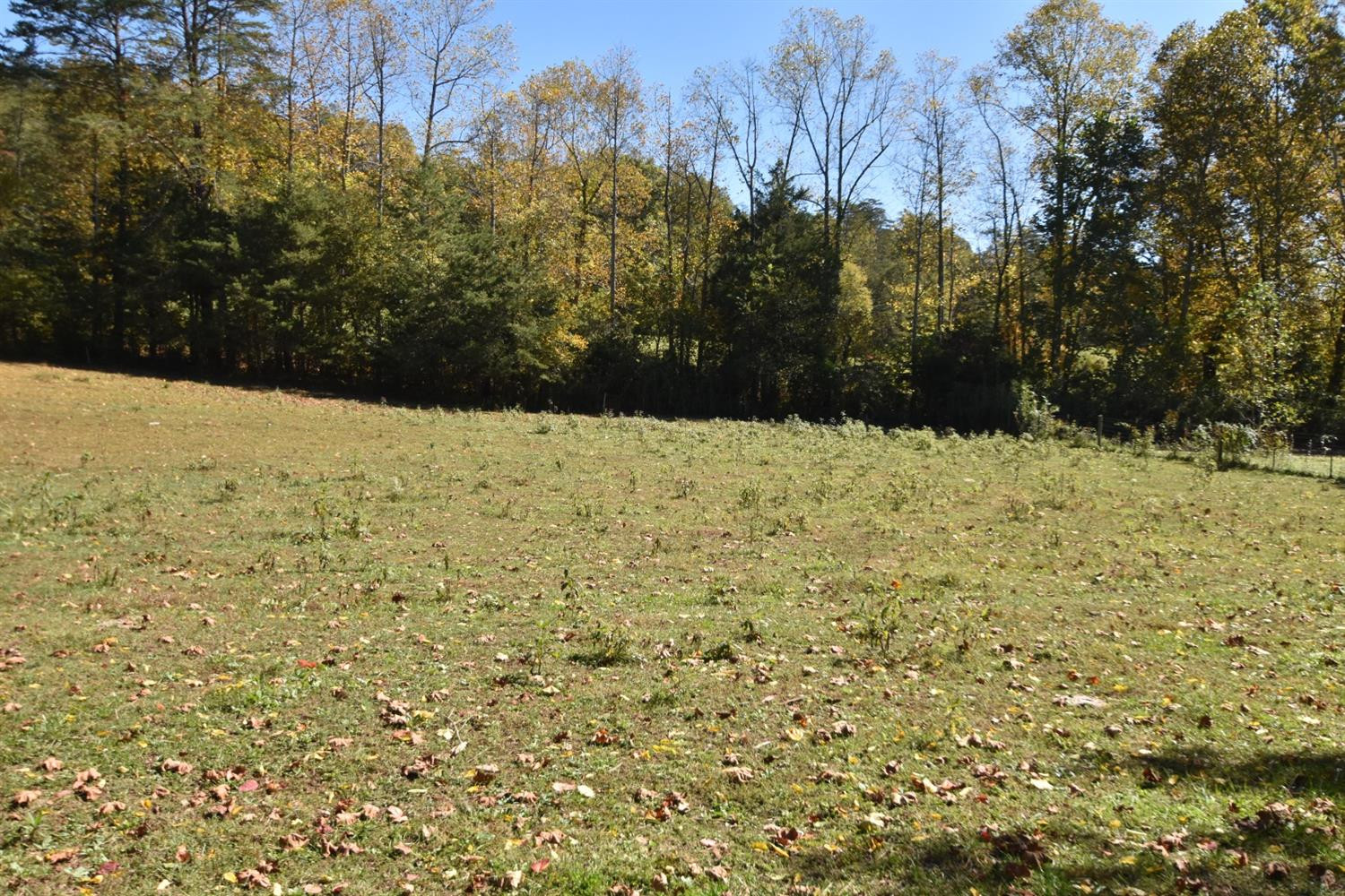 1765 Red Lick Road Berea, KY 40403 - Photo 4 of 13 Photo 4