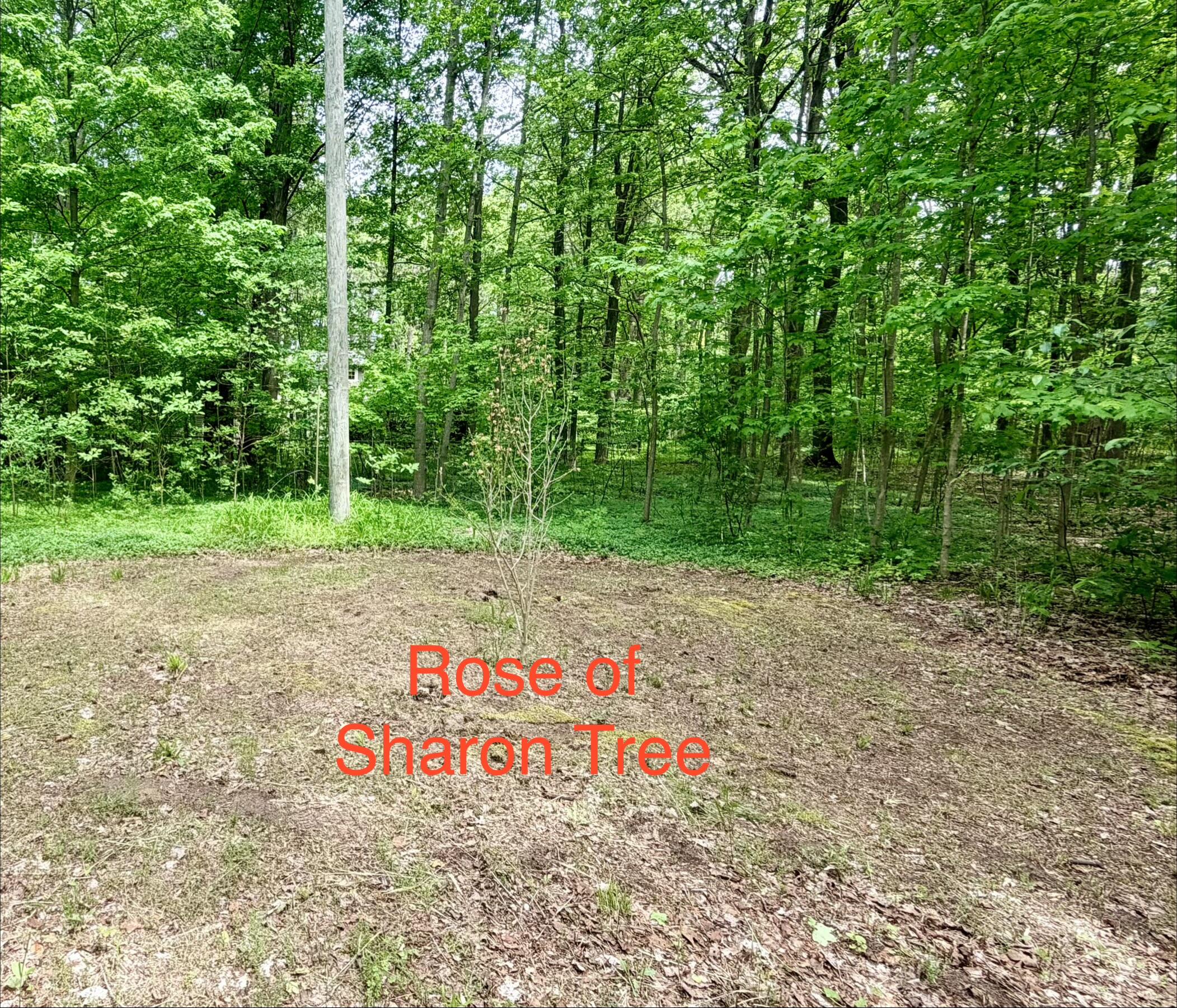 13953 Minnich Road Sawyer, MI 49125 - Photo 50 of 56 IMG_7730