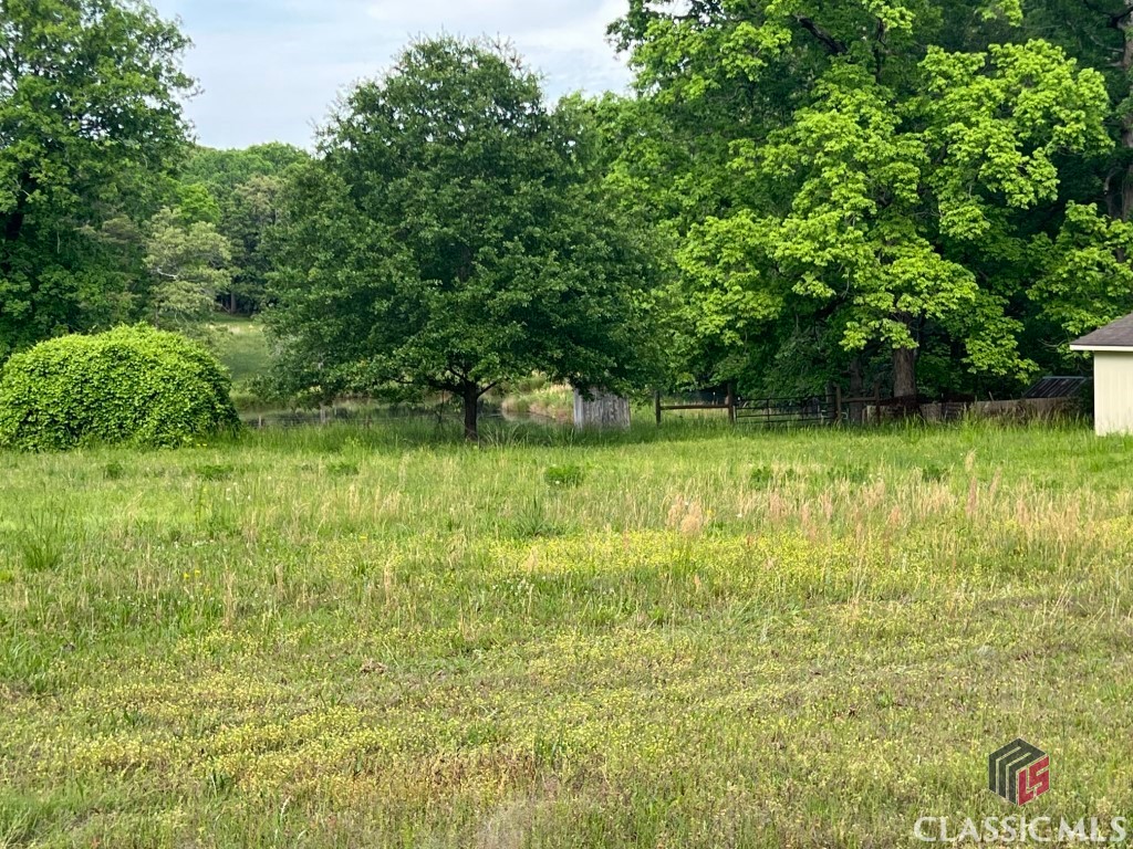 N/a N/a Hog Mountain Road Statham, GA 30666 - Photo 3 of 3