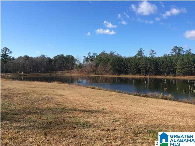 49 Bells Lane, Unit 49 Springville, AL 35146 - Photo 1 of 7