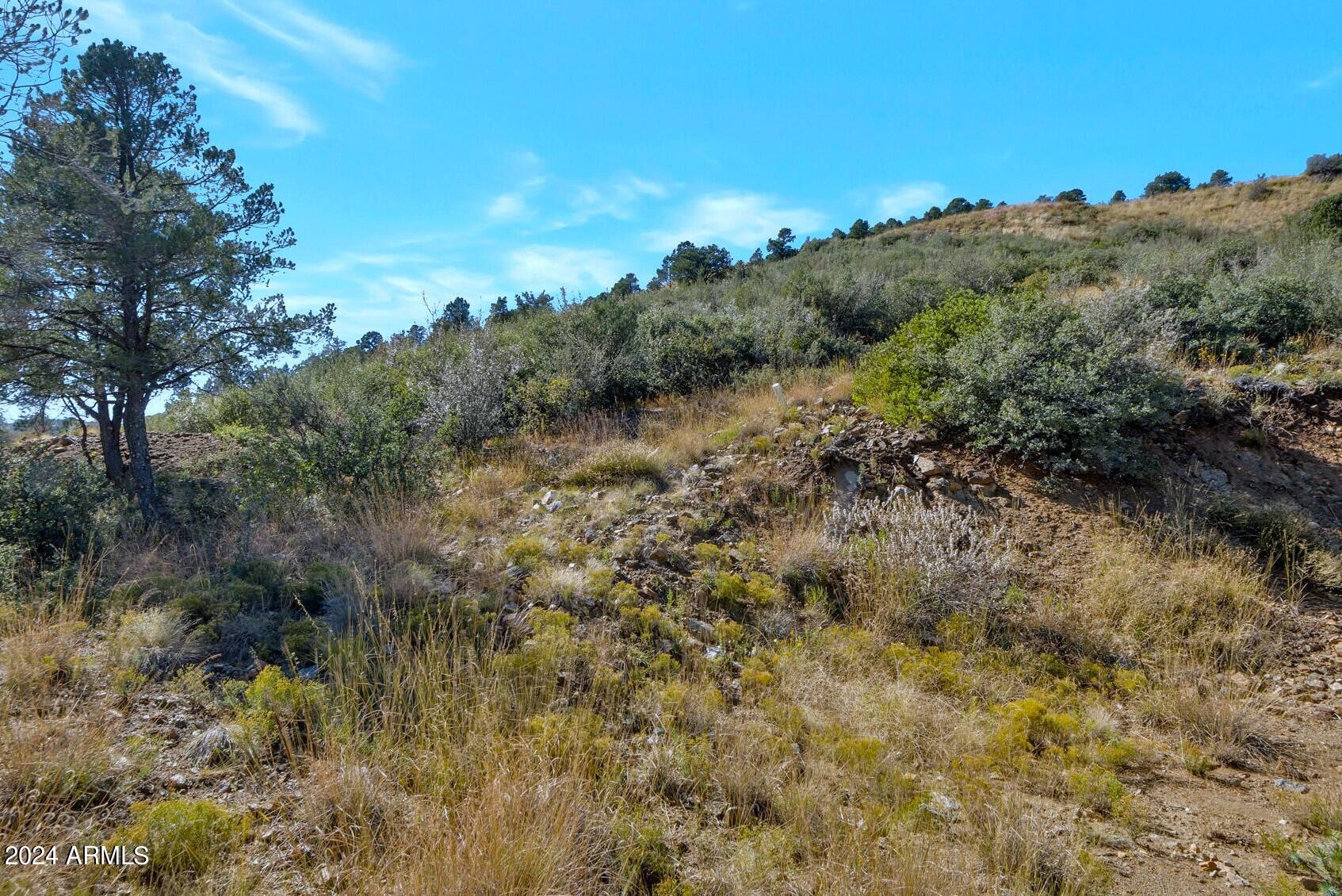 698 West Lee Boulevard, Unit 638 Prescott, AZ 86303 - Photo 3 of 13 698 W Lee Blvd