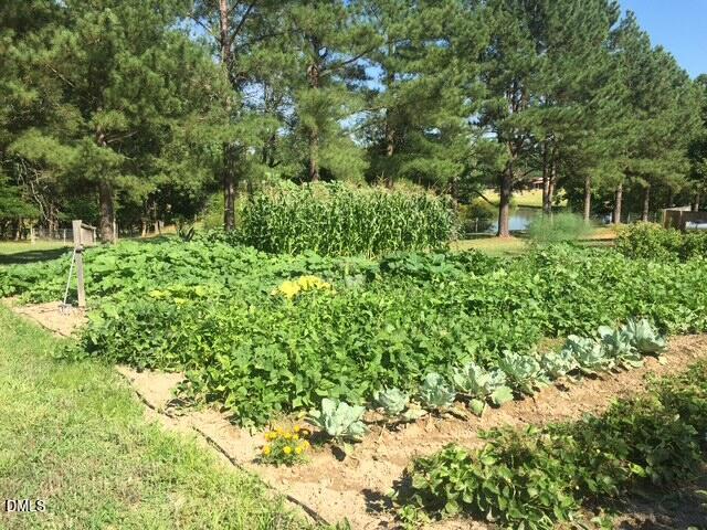 1457 Altamahaw Union Ridge Road Burlington, NC 27217 - Photo 43 of 60 43 1457 Established Garden Area