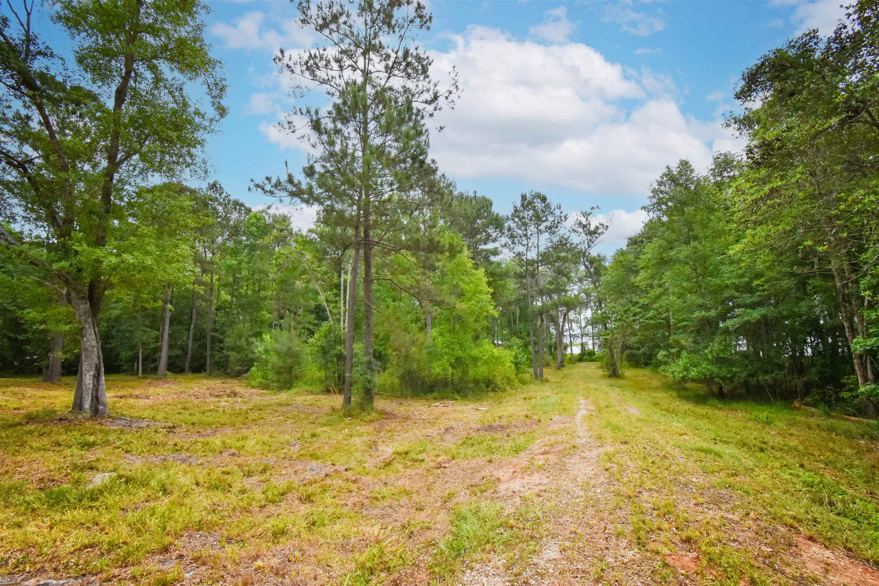 4013 McCall Bridge Road Quincy, FL 32351 - Photo 31 of 37
