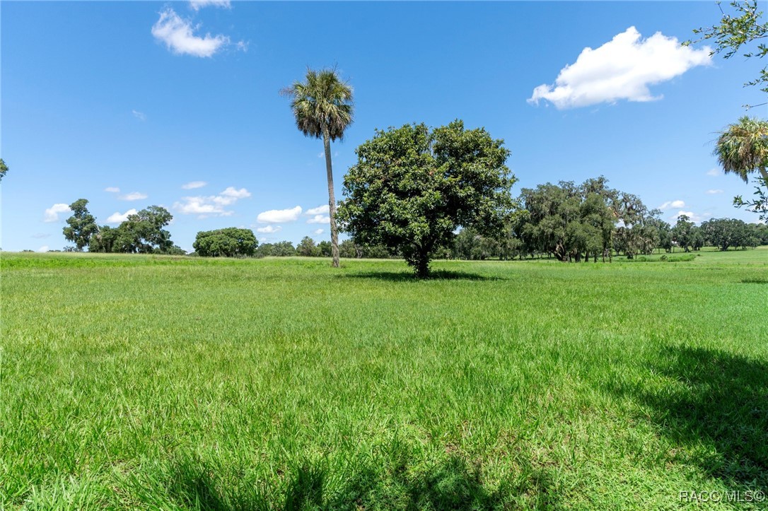 4631 East Windmill Drive Inverness, FL 34453 - Photo 39 of 52