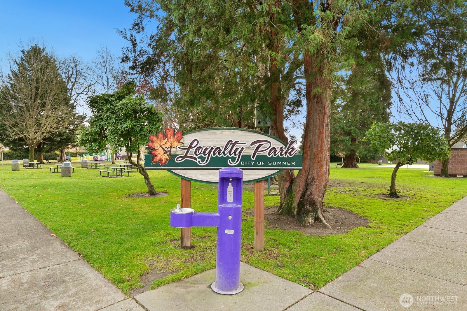 415 Meade Avenue Sumner, WA 98390 - Photo 20 of 23 a sign board with a play ground