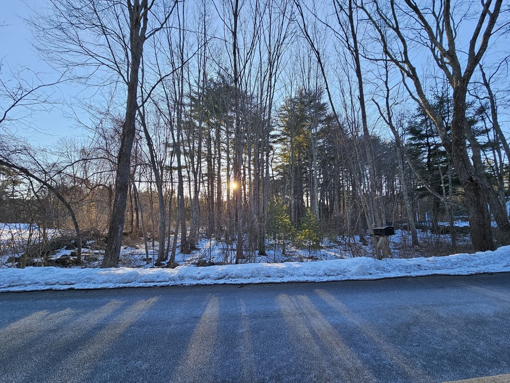 0 Greenwich Plains Road Ware, MA 01082 - Photo 3 of 9