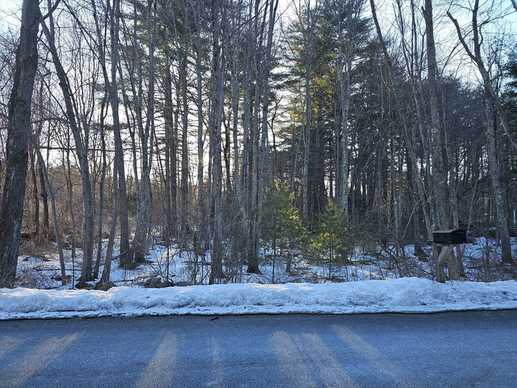 0 Greenwich Plains Road Ware, MA 01082 - Photo 4 of 9