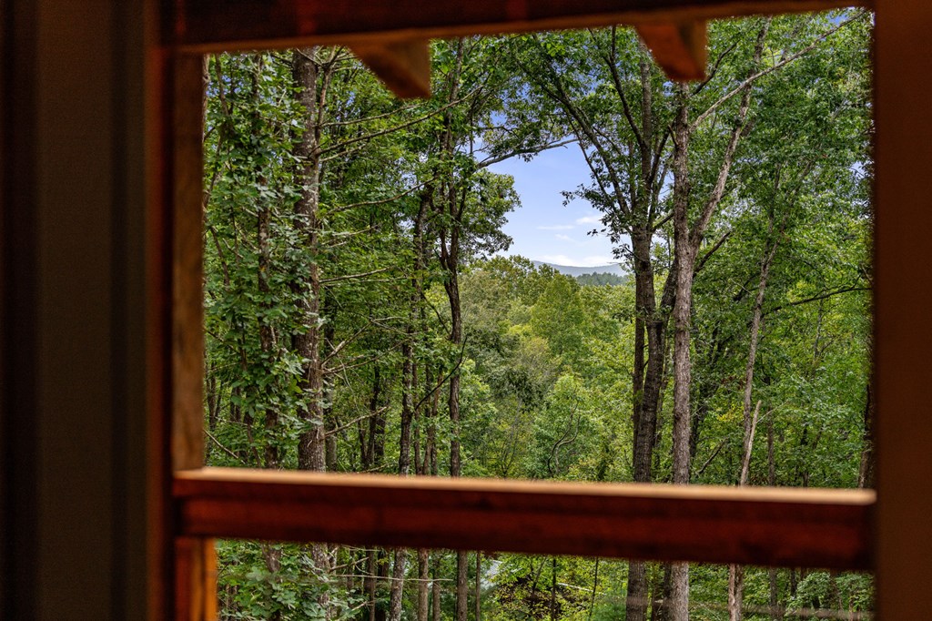 110 Pigeon Creek Road Blue Ridge, GA 30513 - Photo 43 of 64 Gallery Image 43