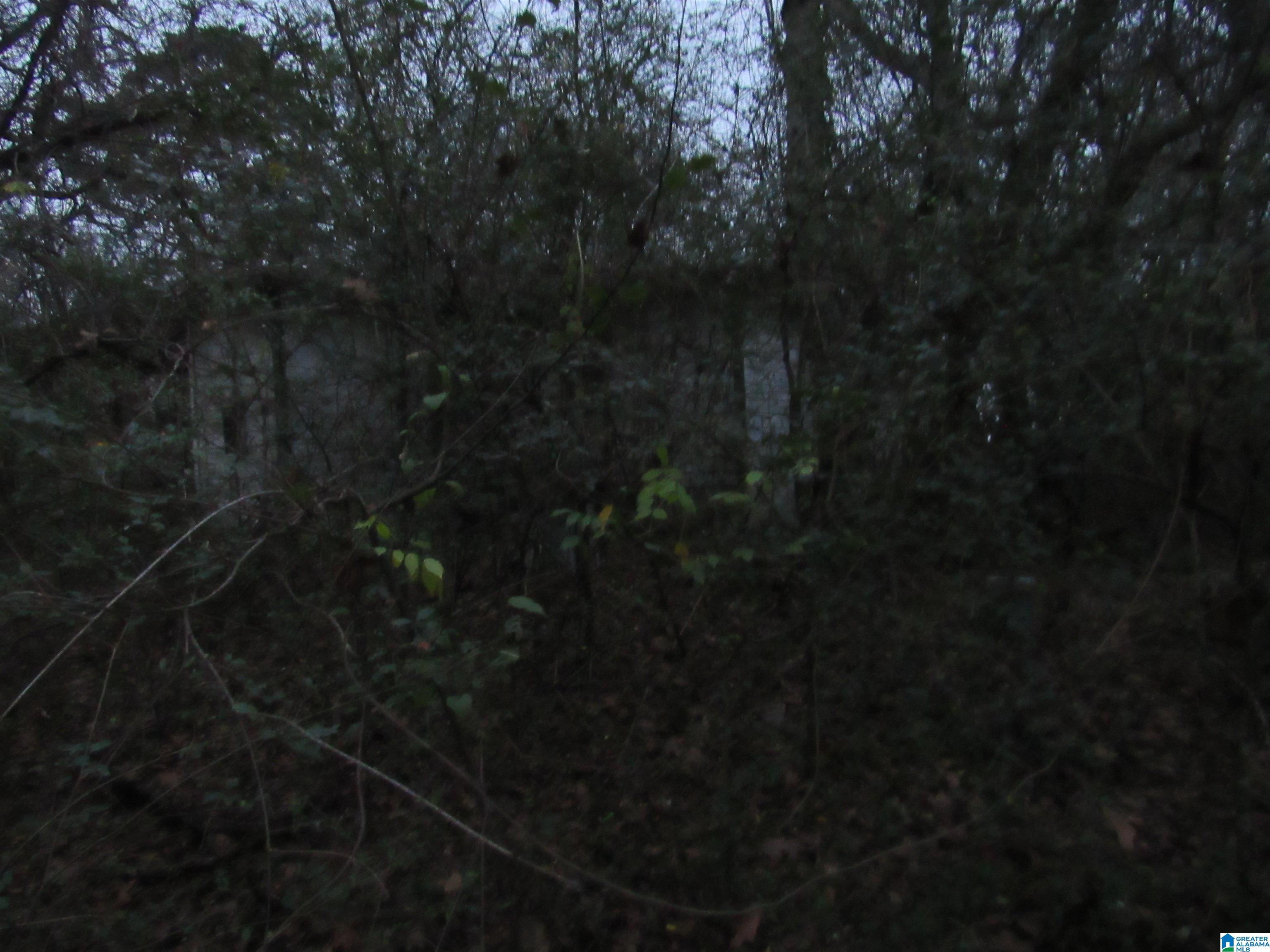 5951 Rockdale Road, Unit 5951 Bessemer, AL 35022 - Photo 5 of 6