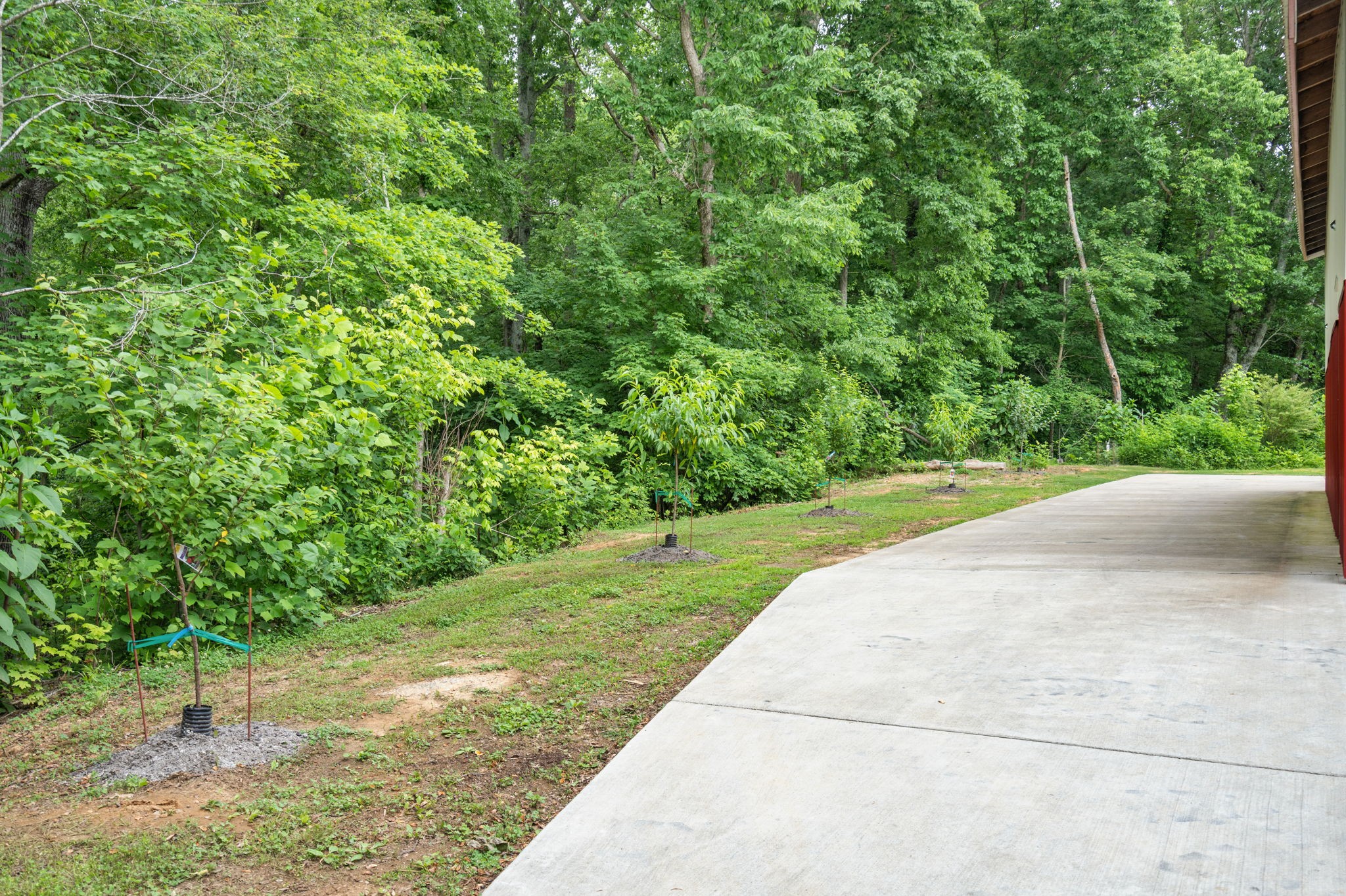 1979 Rock Springs Road Columbia, TN 38401 - Photo 17 of 21 Gallery Image 17