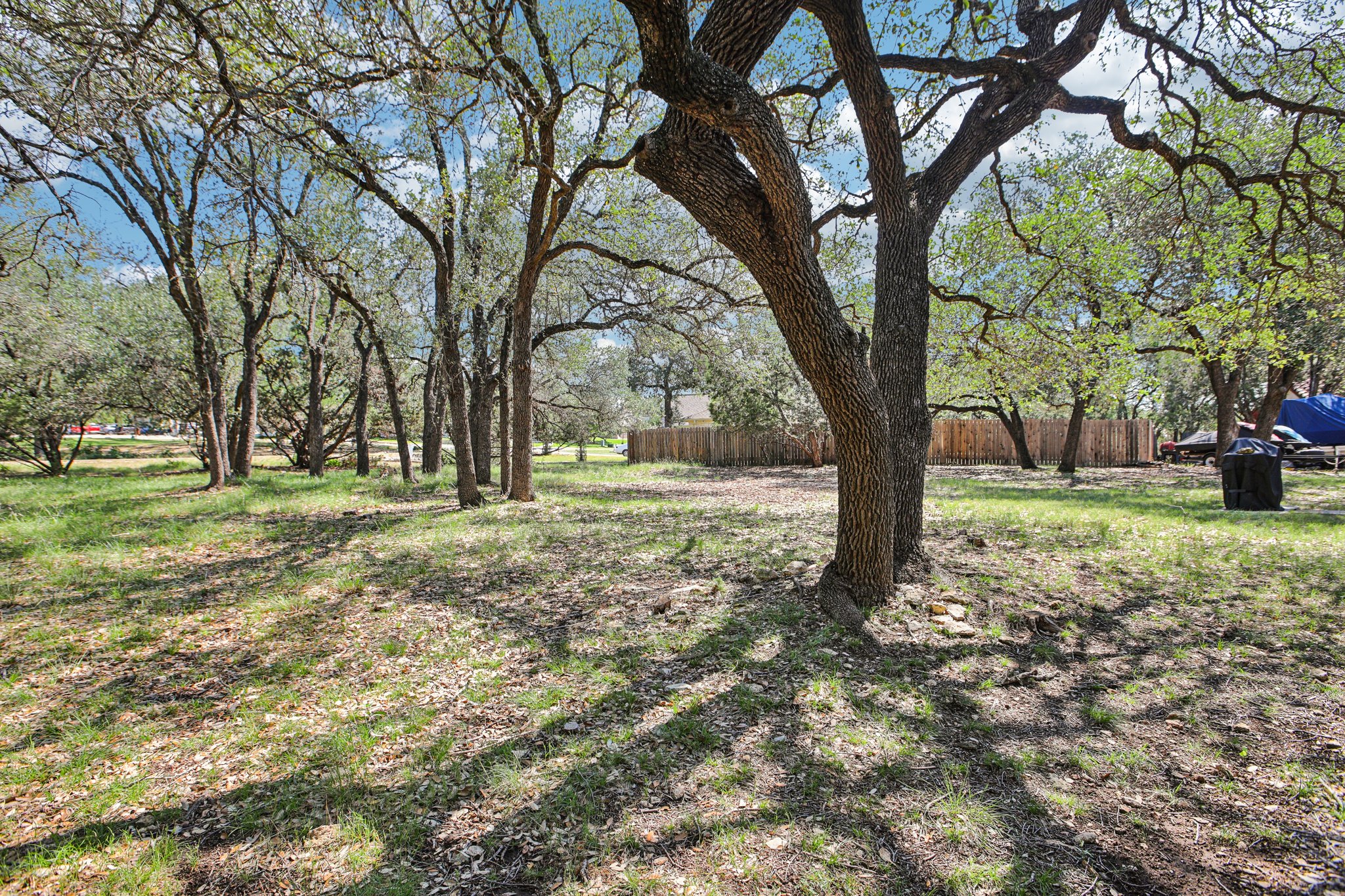 600 Augusta Circle Point Venture, TX 78645 - Photo 31 of 38 a view of a yard with tree s