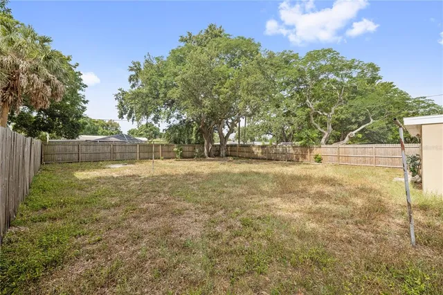a view of yard with tree