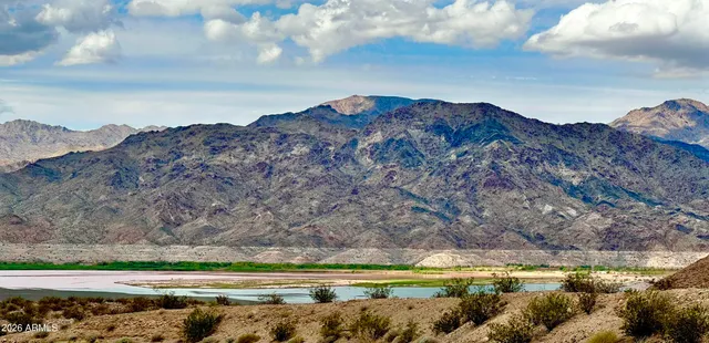 a view of a dry yard with mountains in the background